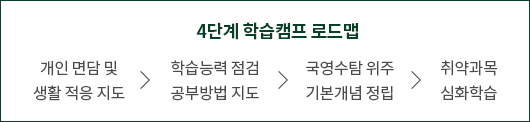 4단계 학습 캠프 로드맵